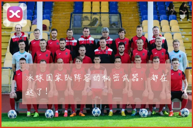 冰球国家队阵容的秘密武器，都在这了！