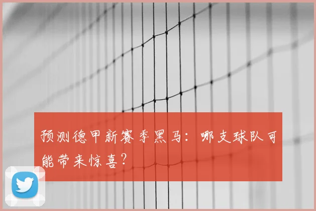 预测德甲新赛季黑马:哪支球队可能带来惊喜?